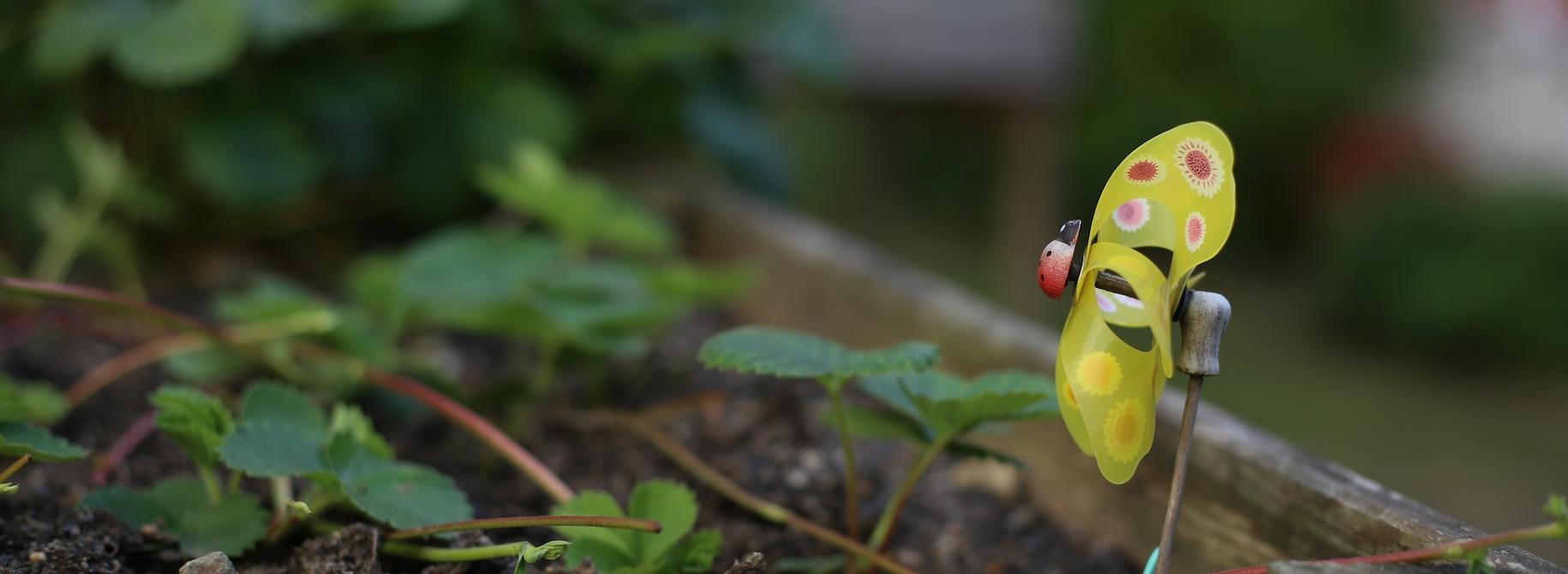 Résidence Les Bois Précieux - Potager