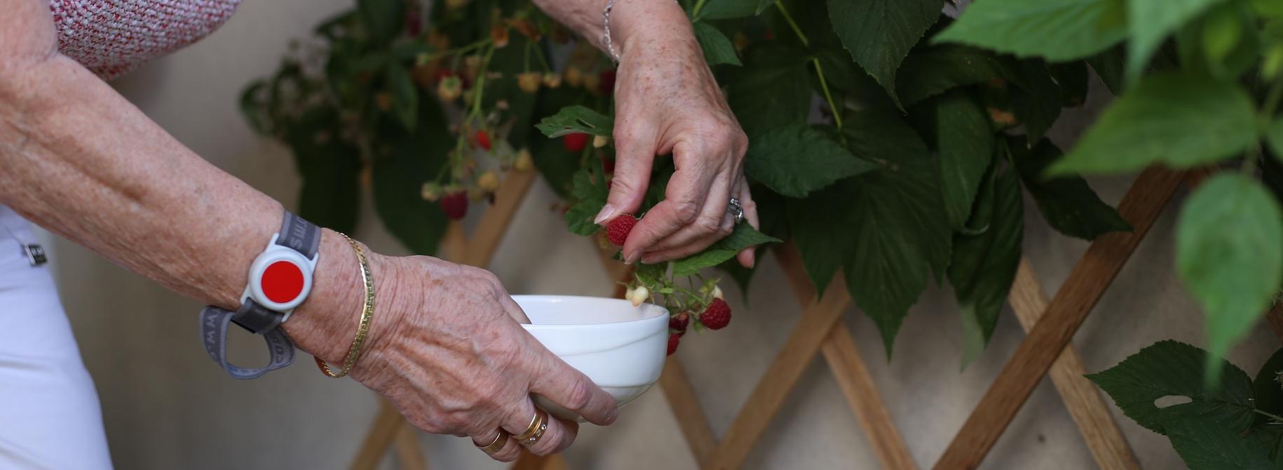 Résidence VIVRE Adom - Qui sommes nous ?