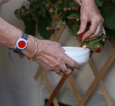 Résidences RVE - sécurité et sérénité 